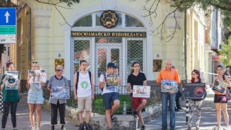 Вегани на протест против "кървавата баня" за Курбан Байрам
