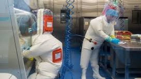 Ужас без край: Откриха нов щам на COVID-19 с 46 мутации