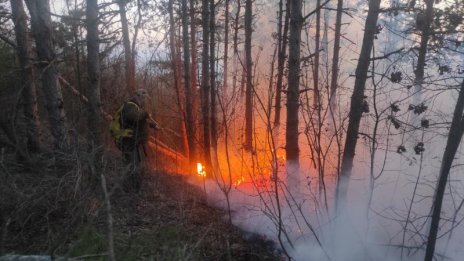 Пожар гори вече пети ден край Девня (СНИМКИ)