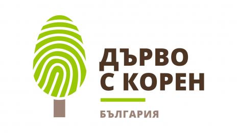Търсят историите на любими дървета с конкурс