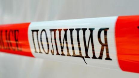 Отровиха домашно куче в двор с деца
