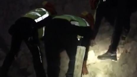 Извадиха живо куче, затрупано от развалините след труса в Италия (ВИДЕО)