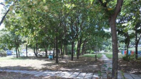 Отчуждават градинката до бл. 14 на ул. "Студентска"