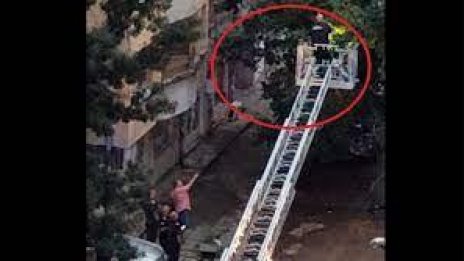 Валят пари в Борово! Полицаи и пожарникари ги берат от дървета