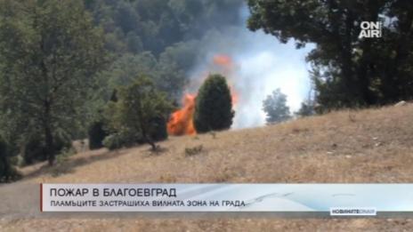 Пожар в Благоевград изгори лозя и градини