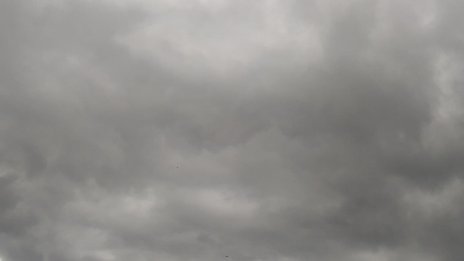 Валежи на много места в страната утре