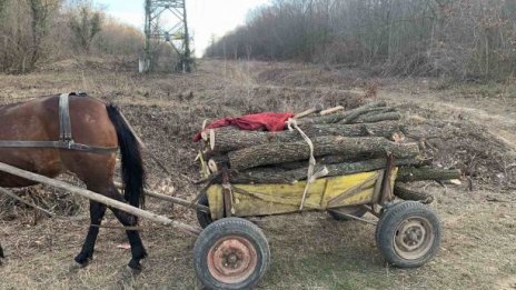 Спипаха бракониери във Варненско