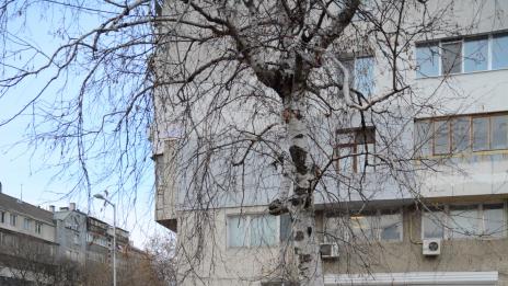 Обновяват ул. „Баба Тонка“ във Варна