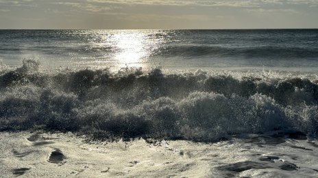 Екоактивисти: Имаме само едно Черно море и трябва да го защитим