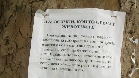 Обява предупреждава за трафик на кучета и котки в Германия