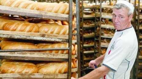 Зърното поевтиня с 30%, хлябът - не