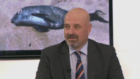 Морски бизнес: Браншът ще помага на учените да изследват рибните запаси