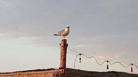 Слънчево време на много места в страната днес