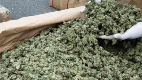 Италианската полиция залови 700 килограма марихуана и арестува двама албанци