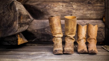 Виц на деня - 9 ноември