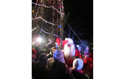 Коледната елха на Смолян ще грейне на 6 декември