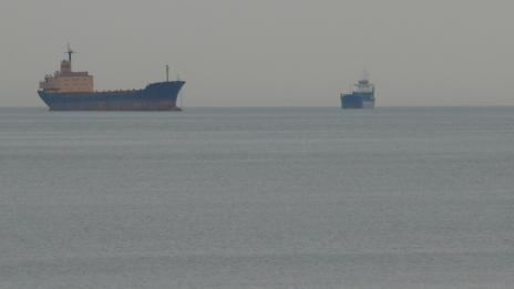 Нова мода: Златна треска за бяла мида в Черно море!