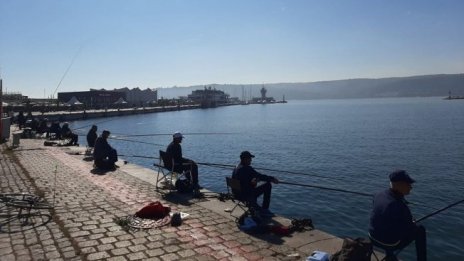 Варненски рибар остана без най-милото си