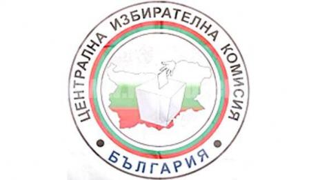 11 сигнала от чужбина постъпили в ЦИК