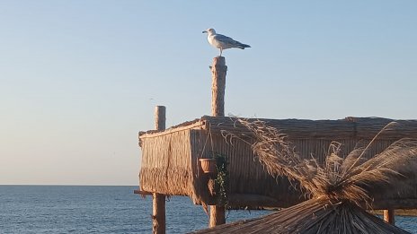 Слънчево време в цялата страна днес