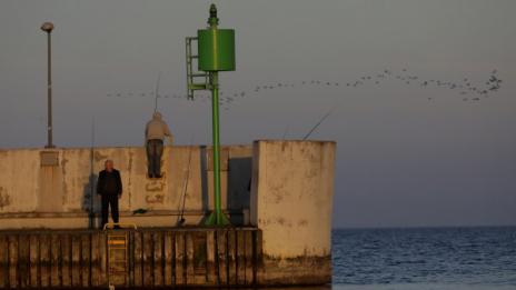 Екологична катастрофа застрашава Балтийско море