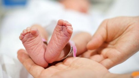 43 бебета са родени по общинската инвитро програма във Варна през 2023 година