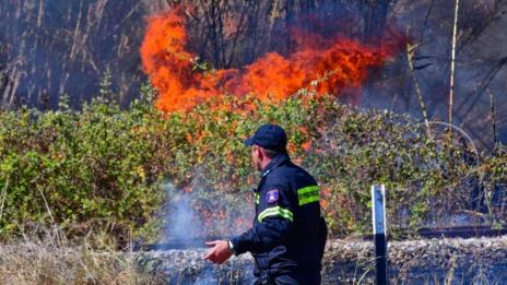 Голям пожар гори на втория ръкав на Халкидики - Ситония  