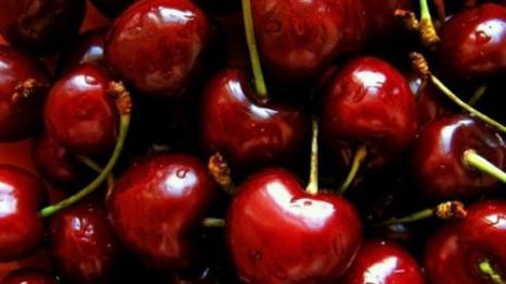 Плодовете скъпи заради дъждовете