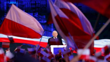 Качински в страх от "социалните болести" на Европа