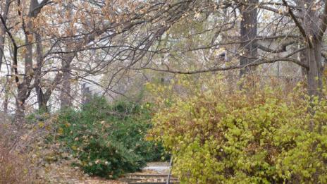 Вземете чадъри, може да превали