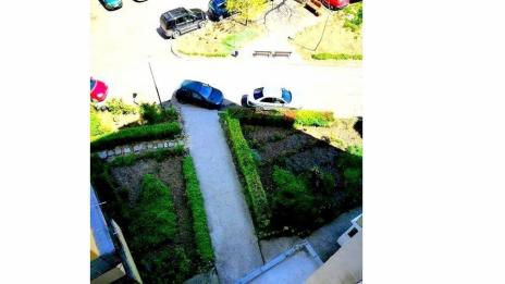 Отново избират най-красиватата градинка в район „Вл. Варненчик”