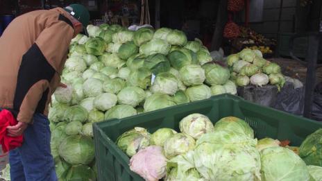 Богатите на желязо продукти вдигат успеха на ученици и студенти