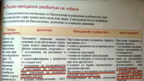 Вълчев: Джендър идеята няма място в училище  