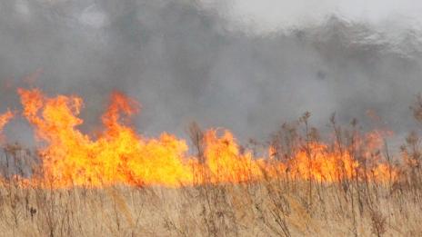 100 декара пшеница изгоряха край Варна