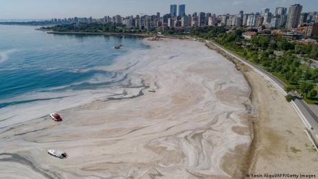Откъде се взе това бедствие? "Морски сополи" превзеха Мраморно море