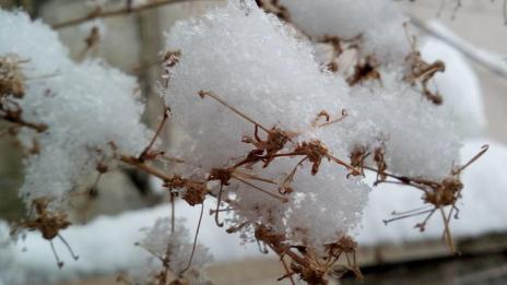 Сърбин паднал в кладенец и оцелял при -20°C