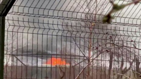 Голям пожар избухна в един от най-популярните британски зоопаркове