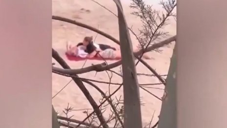 Заснети: Бившата футболна звезда Бастиан Швайнщайгер изневерява с българка ВИДЕО