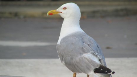 Какво време ни очаква утре? 