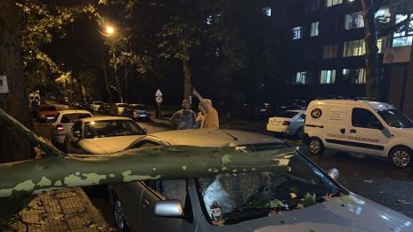 Дърво падна и смачка колата на бащата на Караянчева