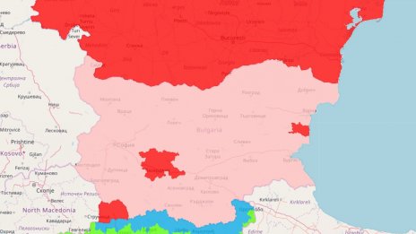 ЕК облекчи ограниченията за търговия със свинско месо в почти цяла България