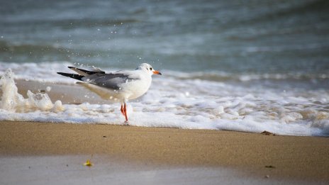 Времето днес във Варна: Предимно облачно, с температури до 13°