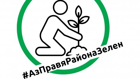 Планират засаждането на 435 нови дървета в центъра на Варна