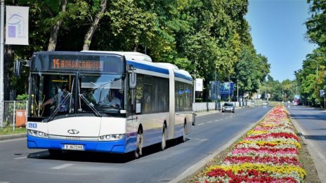 Стикери по градските автобуси на Варна ще призовават за хуманно отношение към животните