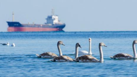 Предимно слънчево и топло днес във Варна