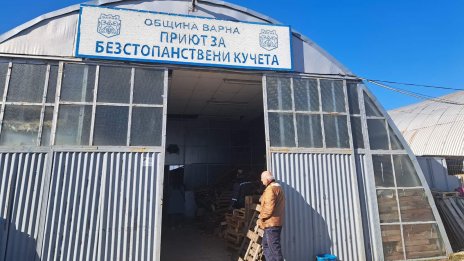 Община Варна не може да намери ветеринар за кучкарника в Каменар