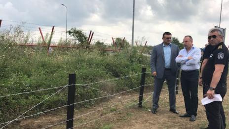 Започнаха оградата с Румъния срещу заразата от чума по свинете