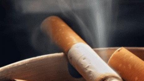 Какво има в една цигара?