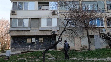 Жена държи 17 кучета, заключени в апартамент, панелите са пропити с урина (СНИМКИ)