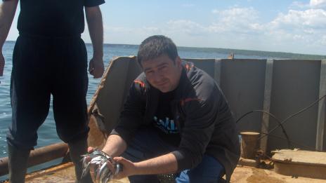 За първи път правят мониторинг на рибните запаси в цялото Черно море